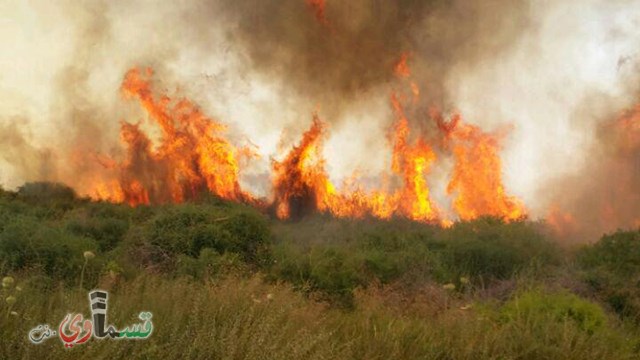  مع شدة حرارة الشمس : 18 سيارة اطفاء لإخماد حريق في منطقة احراش بين شميش